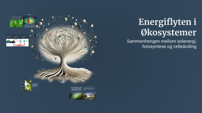Energiflyten i Økosystemer by Eryk Terentjevas on Prezi