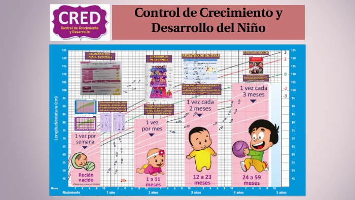 Control De Crecimiento Y Desarrollo Del Niño Sano - Niños Relacionados