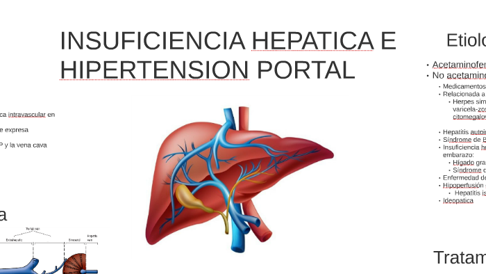 Síntomas de hipertensión portal de flujo sanguíneo esplácnico