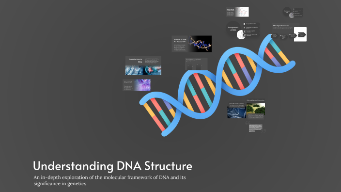 Understanding DNA Structure by reena arora on Prezi