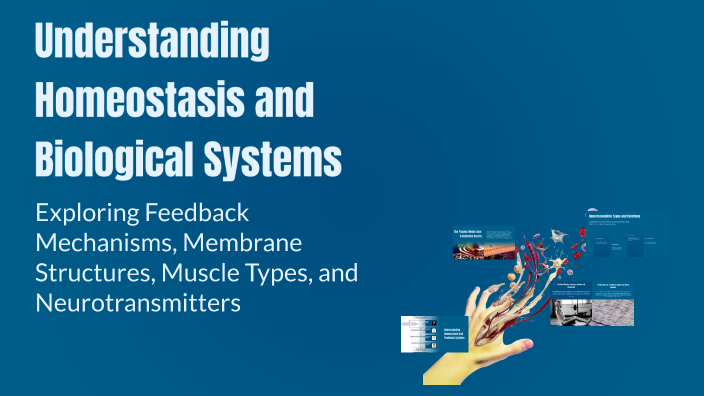 Understanding Homeostasis and Biological Systems by Marjan Barati on Prezi
