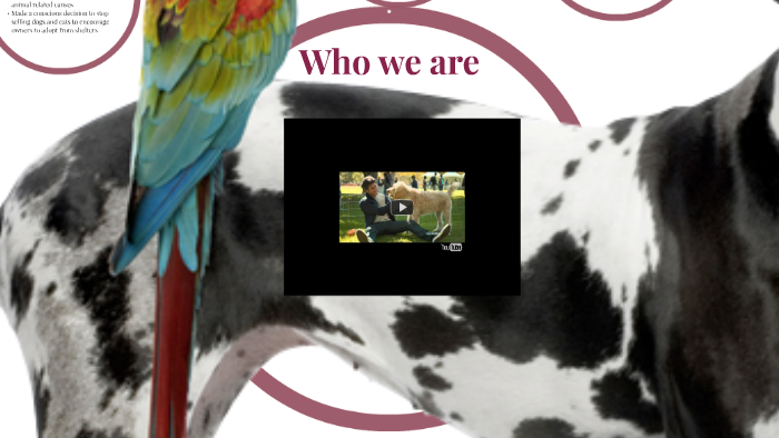 Treats member petsmart picture