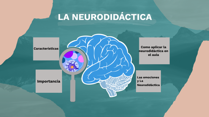 Neurodidáctica by Darllelys Alain on Prezi