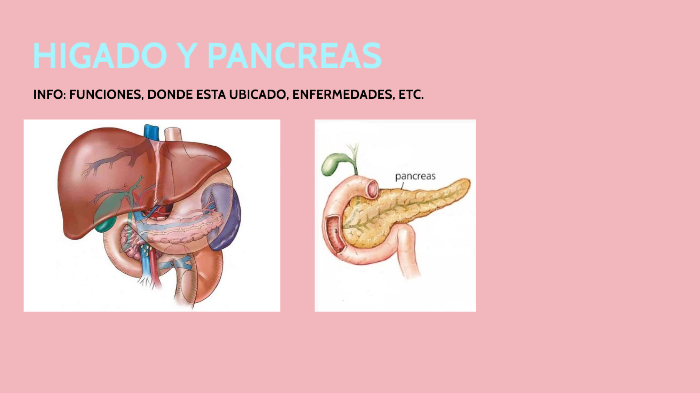 Funciones de que, como, donde, etc.