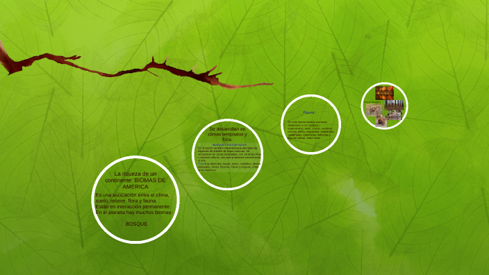 Biomas Bosque by romina pereira on Prezi
