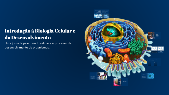 Introdução à Biologia Celular e do Desenvolvimento by Marloncio Souza ...