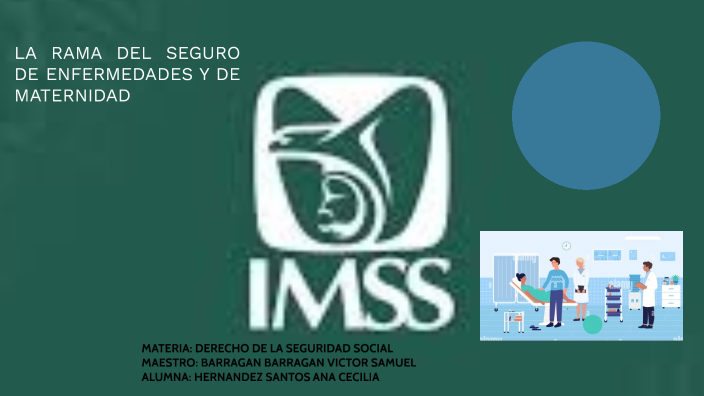 La Rama Del Seguro De Enfermedades Y Maternidad