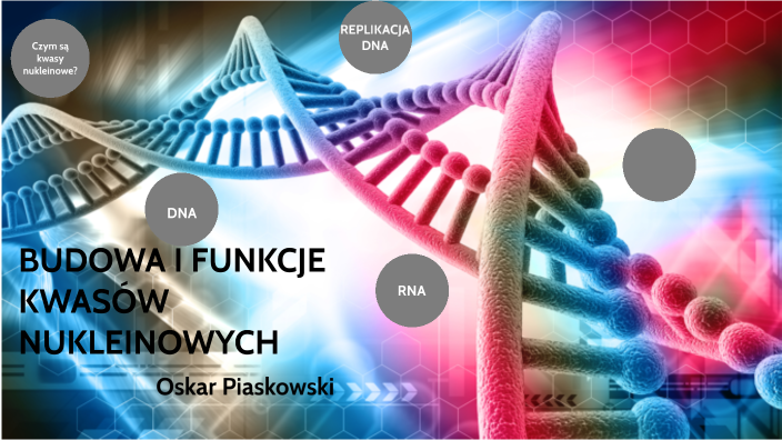 Budowa I Funkcje Kwasów Nukleinowych By Oskar Piaskowski On Prezi