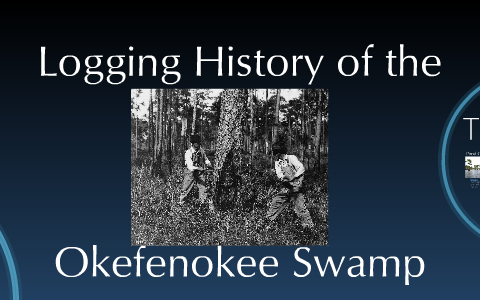 Logging History of the Okefenokee Swamp by John Cook on Prezi