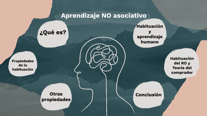 Aprendizaje no asociativo by ROCÍO SC on Prezi