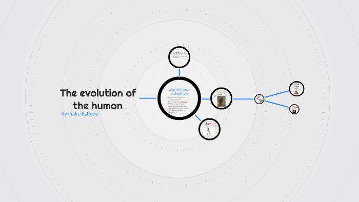 the evolution of the human by pedro estrada on Prezi