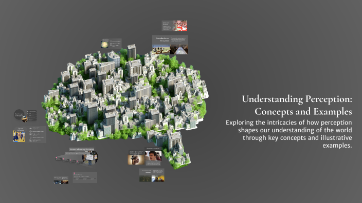 Persepton Examples Understanding Perception: Concepts and Examples by Chandrasekhar Das on ...