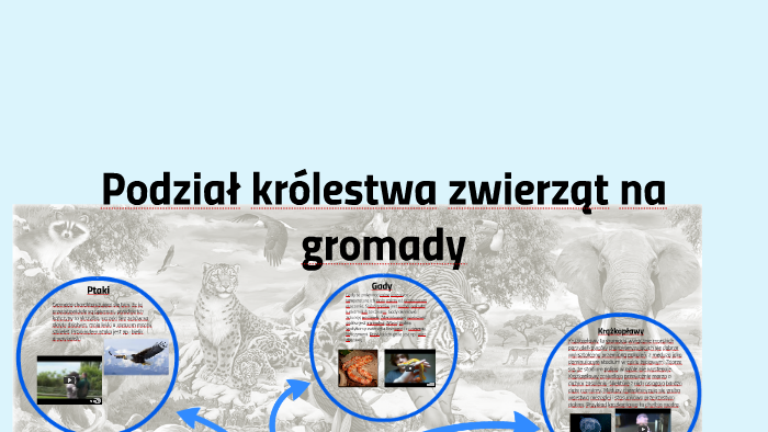 Podział królestwa zwierząt na gromady by Adrian Roman on Prezi