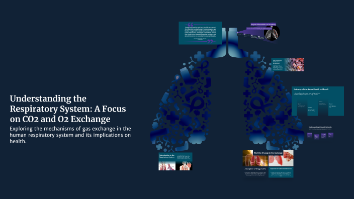 O2 Learning Exchange Understanding the Respiratory System: A Focus on CO2 and O2 Exchange by ...