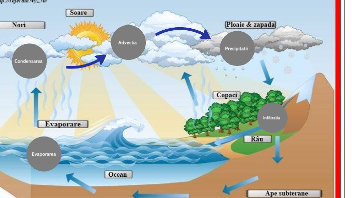 Circuitul Apei In Natura By Mario Neica On Prezi