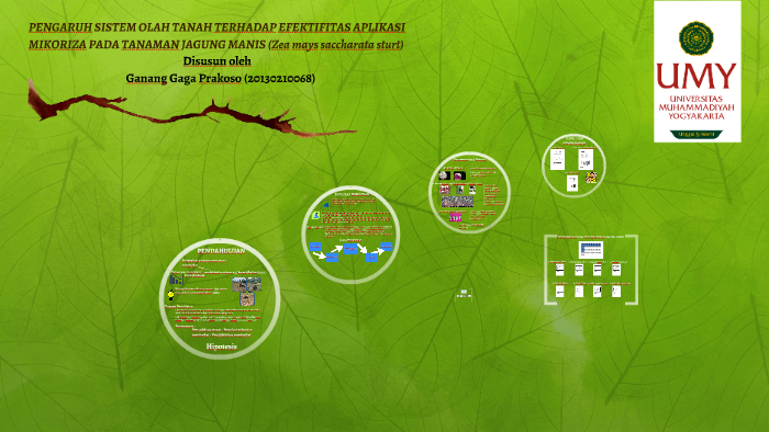 Pengaruh Sistem Olah Tanah Terhadap Efektifitas Aplikasi Mik By Ganang Prakoso