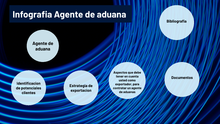 Infografia Agente De Aduana By Manuel Zarza 7460