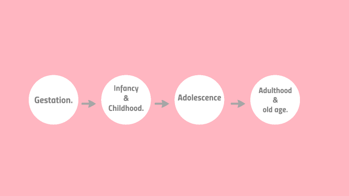 Human Development Timeline by Katie Mendez Cruz on Prezi
