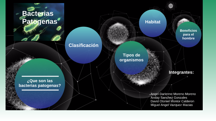 Bacterias Patogenas by david montor on Prezi