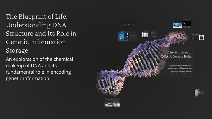 The Blueprint of Life: Understanding DNA Structure and Its Role in ...