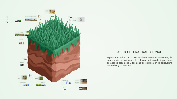 La Importancia del Suelo en la Agricultura by JULIO CESAR FLORES FLORES ...