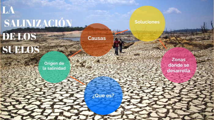 LA SALINIZACION DE LOS SUELOS by giuli spaccesi on Prezi