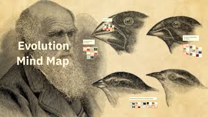Evolution Mind Map by Caleb Haile on Prezi
