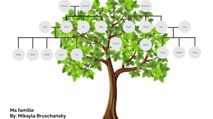 French Family Tree By Mikayla Bruschansky