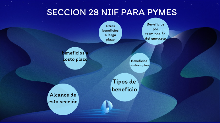 Seccion 28 Niif Para Pymes By Carlos Cabrera 0044