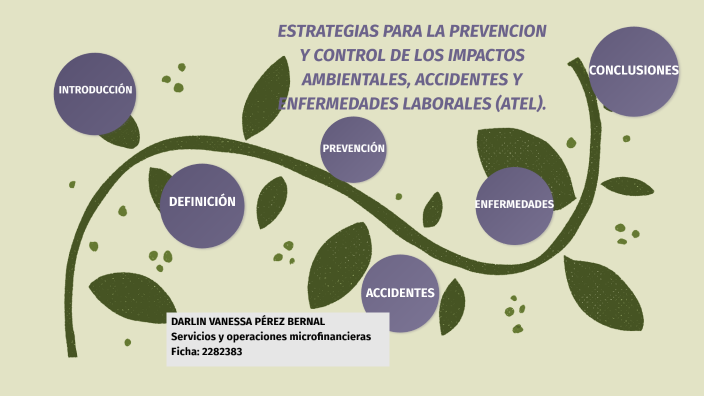 ESTRATEGIAS PARA LA PREVENCION Y CONTROL DE LOS IMPACTOS AMBIENTALES ...