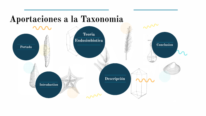 Aportaciones a la Taxonomía de Lynn Marguis y Karlene Schwartz by Ivana
