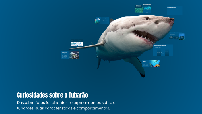 Curiosidades sobre o Tubarão by neymar junior on Prezi