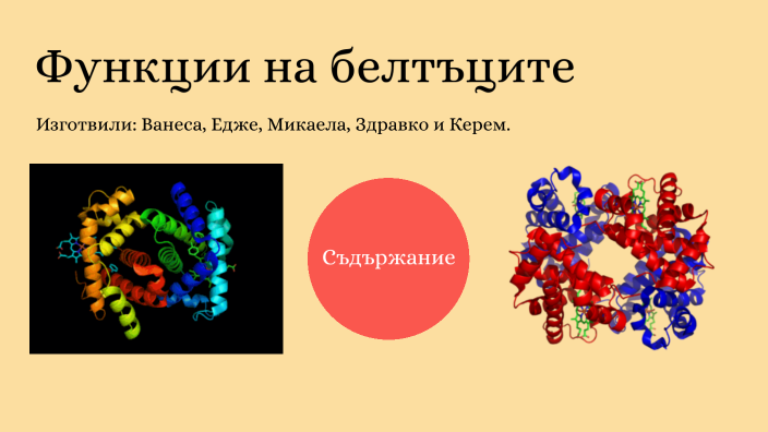 Функции на белтъците by Ванеса Хаджиева on Prezi