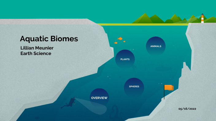 Aquatic Biome by Lillian Meunier on Prezi