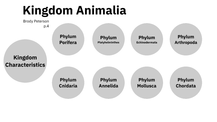 Kingdom Animalia Project by Brody Peterson on Prezi