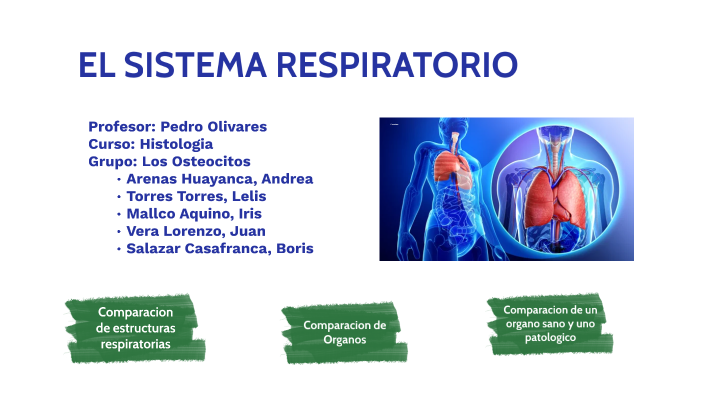 El sistema respiratorio by Andrea Arenas on Prezi