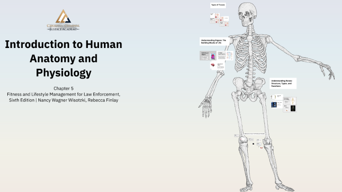 Ch 5 Introduction to Human Anatomy and Physiology by Lisa Glass on Prezi