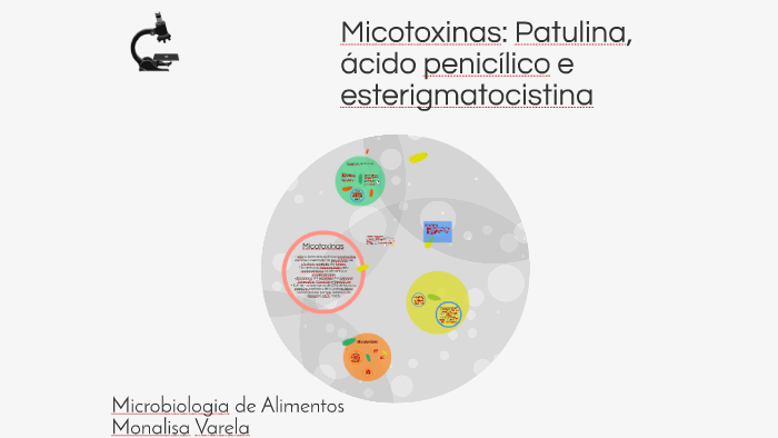 Micotoxinas Patulina ácido Penicílico E Esterigmatocistina By Monalisa Varela On Prezi 8913