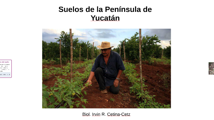 Tipos de suelos de la Península de Yucatán by Irvin Cetina on Prezi