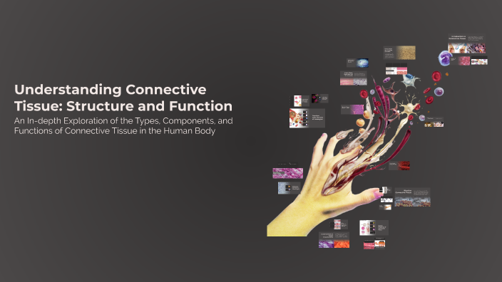 Understanding Connective Tissue: Structure and Function by رُوتاي S on ...