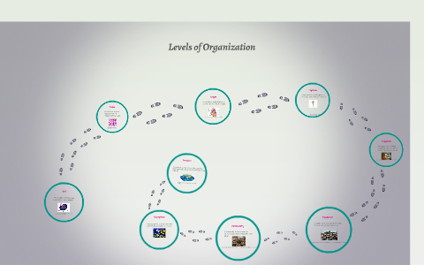 Levels of Orgnization by Tanner Grimes on Prezi