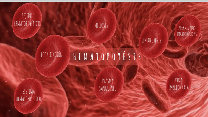 Hematopoyesis By Andrea Maria Lara De La Cruz 2345