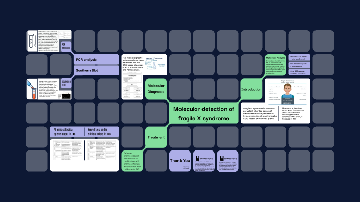 Molecular detection of fragile X syndrome by Yasmina El Khatib on Prezi