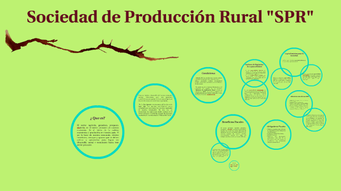 Sociedad de Producción Rural "SPR" by ISAMAR CASTELLANOS GOMEZ on Prezi