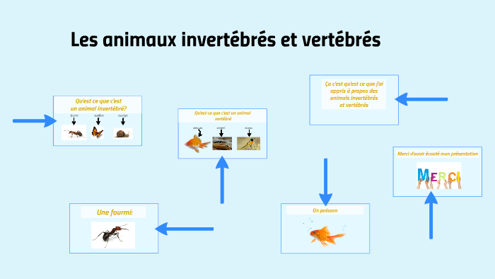 Les Animals Invertébrés Et Vertébrés By Cassidy Hauta On Prezi