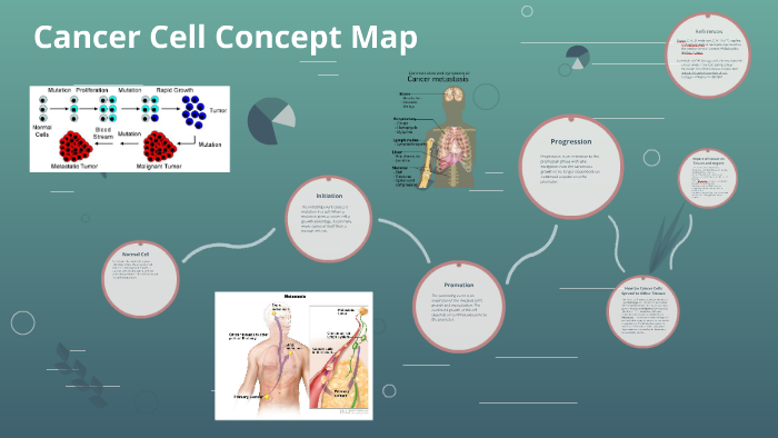 Development Of Cancer Concept Map - Map of world
