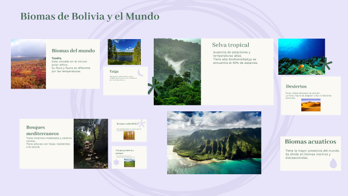 Biomas de Bolivia y el Mundo by Nils William Mamani Casa on Prezi
