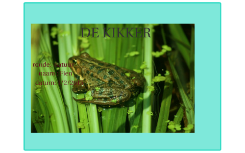 DE KIKER by emma ln on Prezi