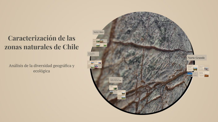 Caracterización de las zonas naturales de Chile by Amparo Thiess ...