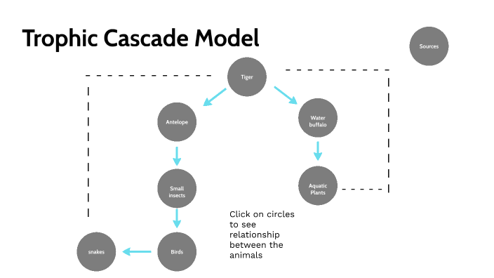 Trophic Cascade Model by teegan bentley on Prezi